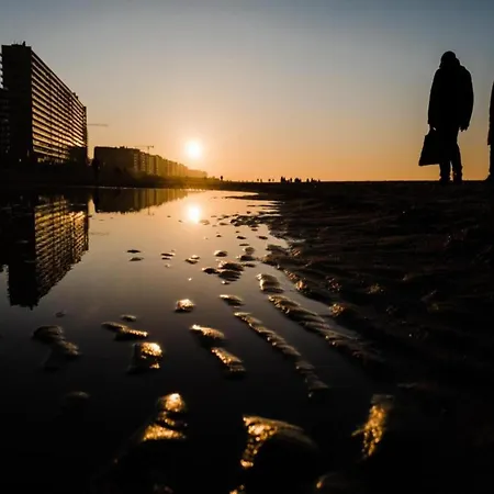 In Belgium With Sea Views