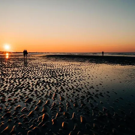 דירה In Belgium With Sea Views *