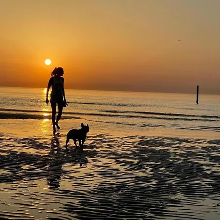 In Belgium With Sea Views Appartement *