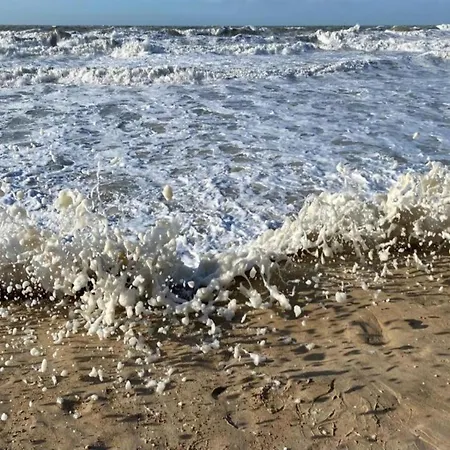 In Belgium With Sea Views * أوستيند